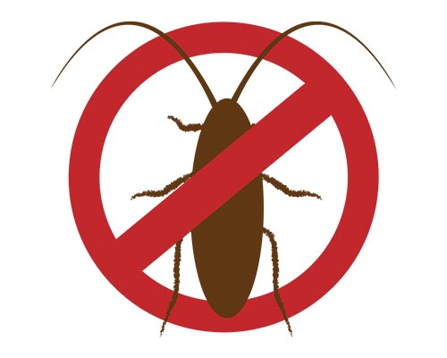 الوقاية من صراصير المنزل